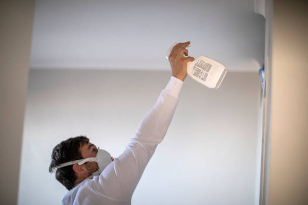 Best Attic Mold Remediation in Asheboro, NC