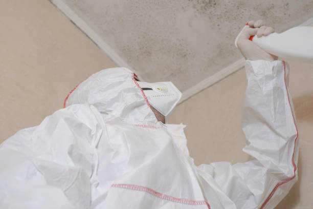 Best Crawl Space Mold Remediation in Asheboro, NC